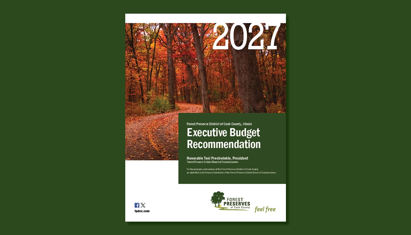 A screenshot of the cover of the 2027 Budget Book with a green background.
